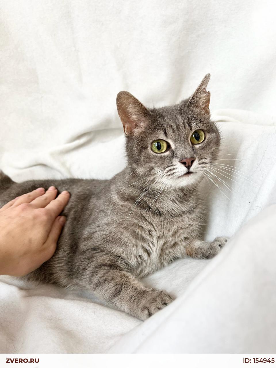 Абвгдейка клёпа актёр. Красивый клоун. Клоун клепа фото. Абвгдейка клепа. Абвгдейка герои передачи клёпа.