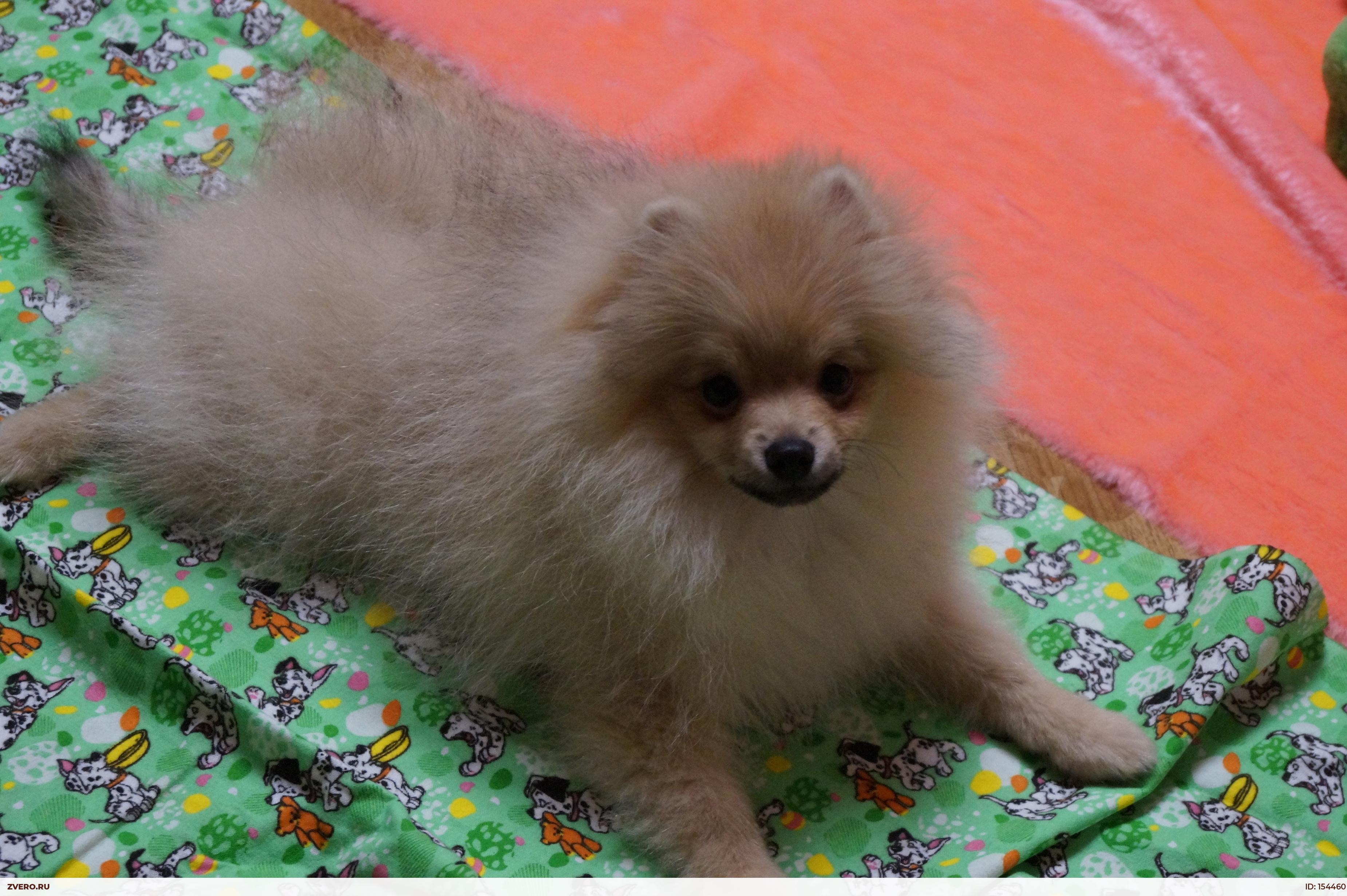 Имена для девочки: